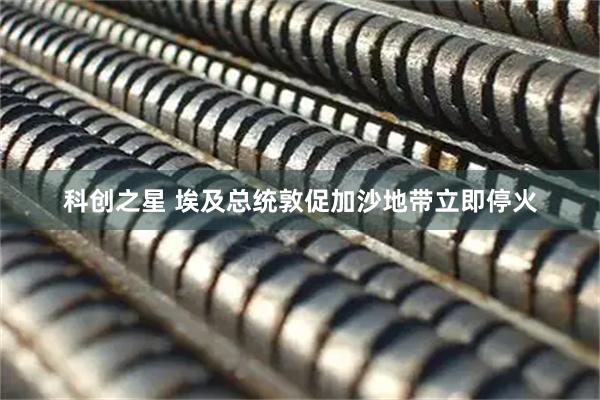 科创之星 埃及总统敦促加沙地带立即停火