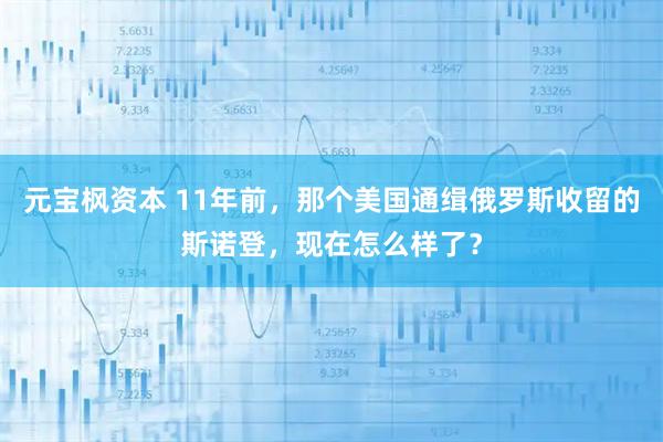 元宝枫资本 11年前，那个美国通缉俄罗斯收留的斯诺登，现在怎么样了？