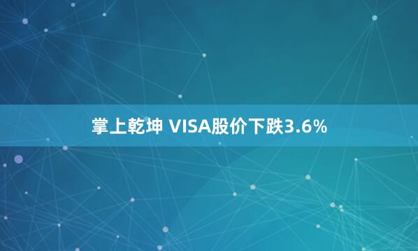 掌上乾坤 VISA股价下跌3.6%
