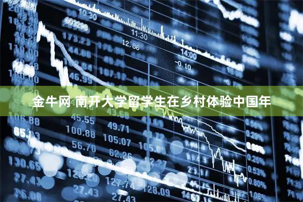 金牛网 南开大学留学生在乡村体验中国年